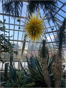 045-PhippsConservatory