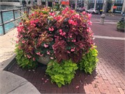 023-Indianapolis
