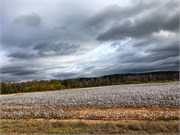 043-Selma_AL