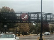 008-U_of_Alabama
