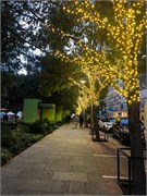 082-Dallas_TX