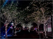 088-Dallas_TX