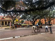 007-Ft-Worth-Stockyards