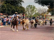 034-Ft-Worth-Stockyards
