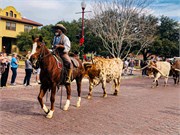 036-Ft-Worth-Stockyards