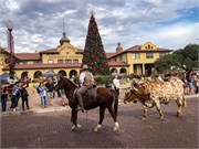 037-Ft-Worth-Stockyards
