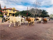 040-Ft-Worth-Stockyards