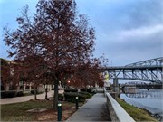 016-Shreveport_LA