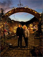 001-20211216_Flowering_Bridge__n_Lights