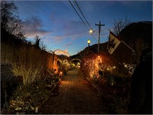005-20211216_Flowering_Bridge__n_Lights