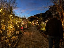 006-20211216_Flowering_Bridge__n_Lights