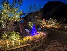009-20211216_Flowering_Bridge__n_Lights