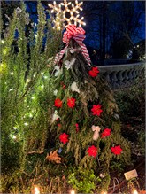 010-20211216_Flowering_Bridge__n_Lights