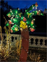 012-20211216_Flowering_Bridge__n_Lights