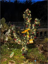 013-20211216_Flowering_Bridge__n_Lights