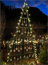 014-20211216_Flowering_Bridge__n_Lights