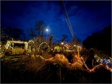 016-20211216_Flowering_Bridge__n_Lights