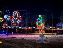 021-20211216_Flowering_Bridge__n_Lights
