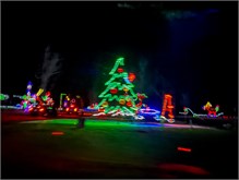 026-20211216_Flowering_Bridge__n_Lights
