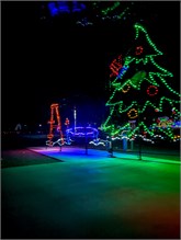027-20211216_Flowering_Bridge__n_Lights