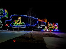 028-20211216_Flowering_Bridge__n_Lights