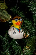 038-20211225_Christmas-Spartanburg