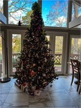 040-20211225_Christmas-Spartanburg