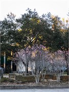 033-BatonRouge_LA