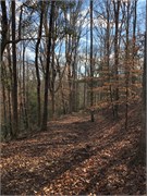 004-Greenway