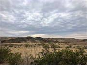 003-BigBendNtlPrk