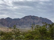 007-BigBendNtlPrk