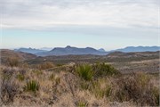 010-BigBendNtlPrk