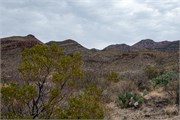 013-BigBendNtlPrk