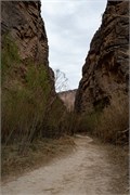 037-BigBendNtlPrk
