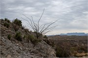 042-BigBendNtlPrk