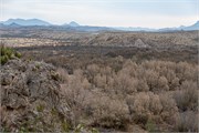043-BigBendNtlPrk