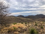 051-BigBendNtlPrk