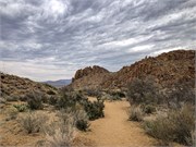 059-BigBendNtlPrk