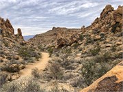 063-BigBendNtlPrk