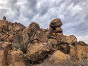 066-BigBendNtlPrk