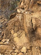 069-BigBendNtlPrk