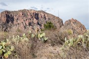 079-BigBendNtlPrk