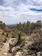 027-GuadalupeMtnNatlPrk