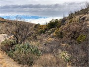 003-Carlsbad-Caverns