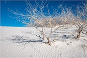 013-WhiteSandsNtlPrk
