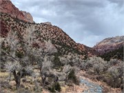 008-Zion-Natl-Park