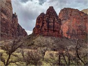 015-Zion-Natl-Park
