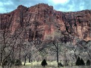 020-Zion-Natl-Park