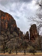 022-Zion-Natl-Park