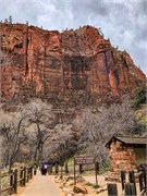024-Zion-Natl-Park